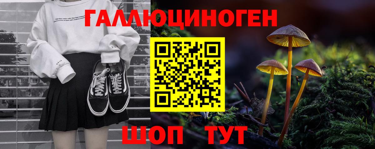 Галлюциногенные грибы GOLDEN TEACHER Моздок